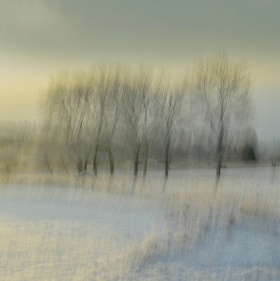  door Christina Sillen