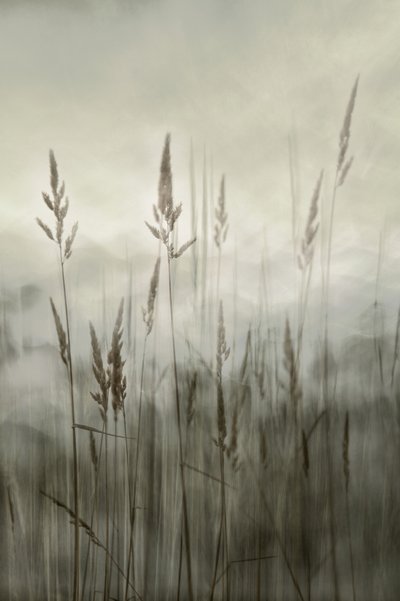  door Christina Sillen