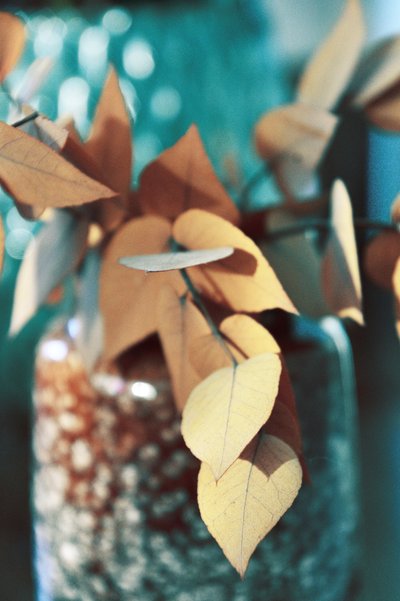 Gouden herfstbladeren door Christina Sillen