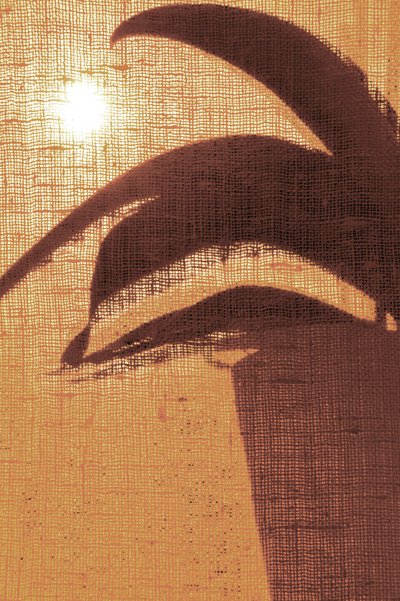 Gouden ochtendsilhouet door Christina Sillen