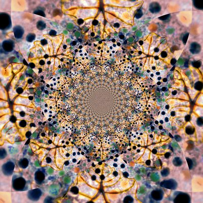  door Christina Sillen