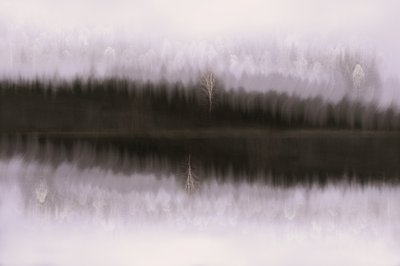 Misty Birch Reflectie door Christina Sillen