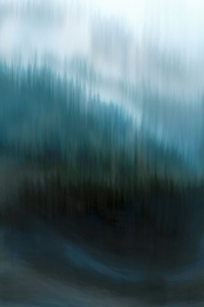 Mistig Blauw Bos door Christina Sillen