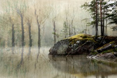 Misty Forest Lake door Christina Sillen