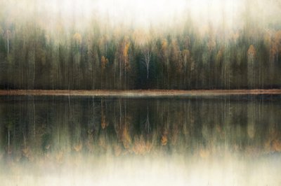 Weerspiegeling in het mistige bos door Christina Sillen
