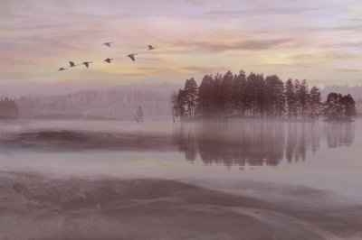 Vogelvlucht boven het mistige meer door Christina Sillen