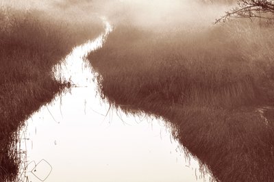 Misty River-pad door Christina Sillen