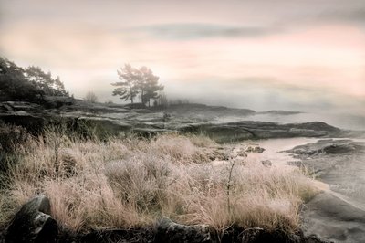  door Christina Sillen