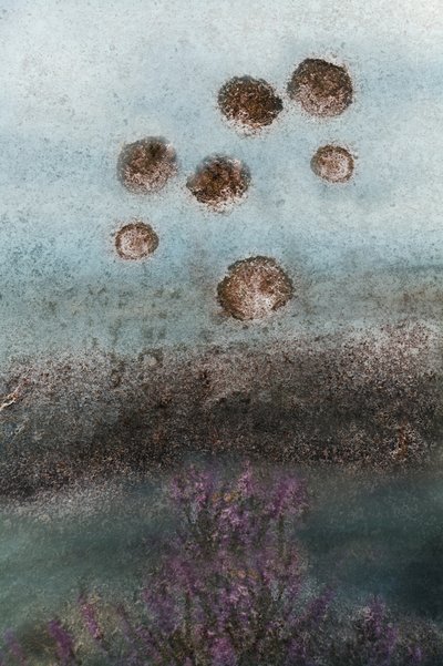 Paarse bloemen en een abstracte lucht door Christina Sillen