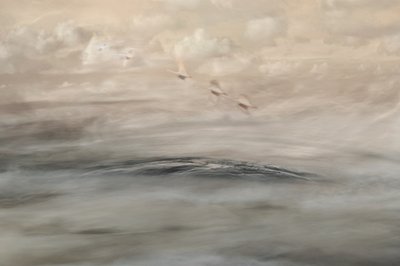 Silver Haze door Christina Sillen