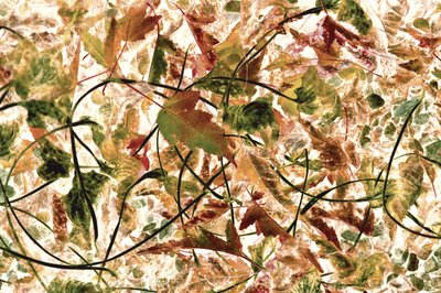 Verward herfstgebladerte door Christina Sillen