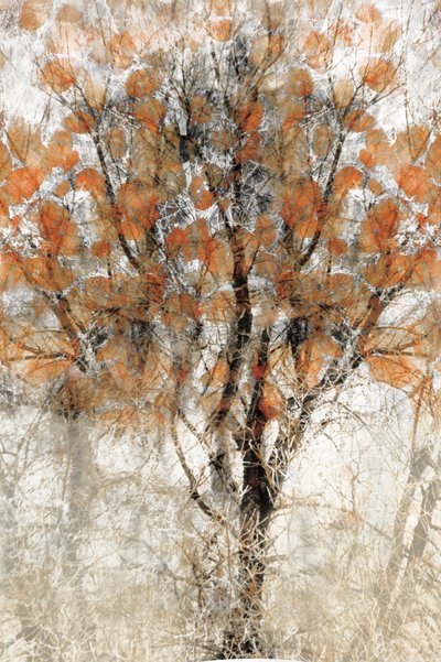 Herfstboom met textuur door Christina Sillen