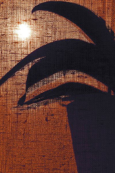 Warm plantensilhouet door Christina Sillen