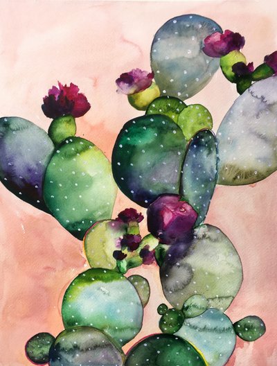 Kleurrijke cactusbloemen door Christine Lindstrom