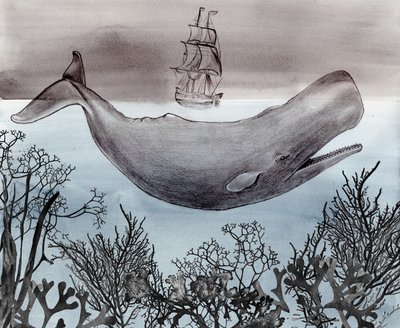 Diepzee-walvisvaartuig door Christine Lindstrom