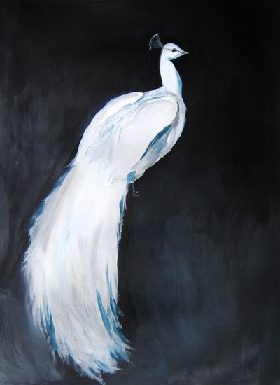 Elegante witte pauw door Christine Lindstrom