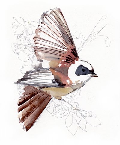 Vliegende aquarelvogel door Christine Lindstrom