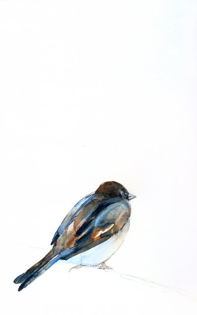 Aquarel van een zittende mus door Christine Lindstrom