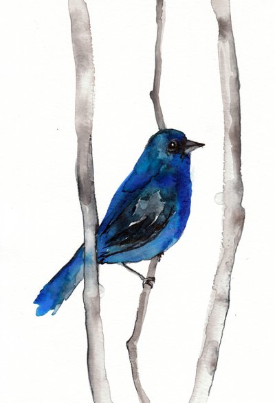 Levendig blauwe zangvogel door Christine Lindstrom