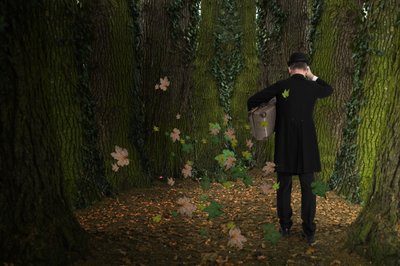 De reis van de man door het bos door Christine von Diepenbroek