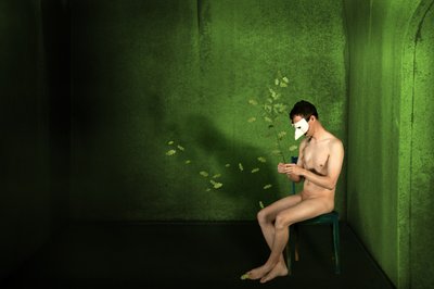 De gemaskerde man in het groen door Christine von Diepenbroek