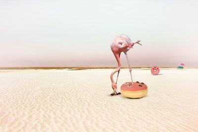 Roze flamingo-donutdroom door Christine von Diepenbroek