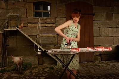 Quirky Farm Strijken door Christine von Diepenbroek