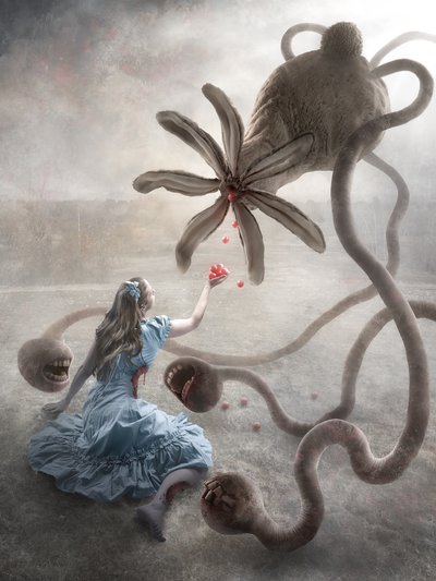 Macaber Wonderland door Christophe Kiciak