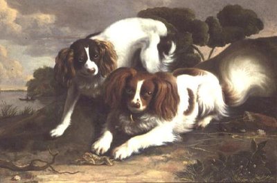 Twee King Charles Spaniels spelen met een kikker door Christopher Pierson