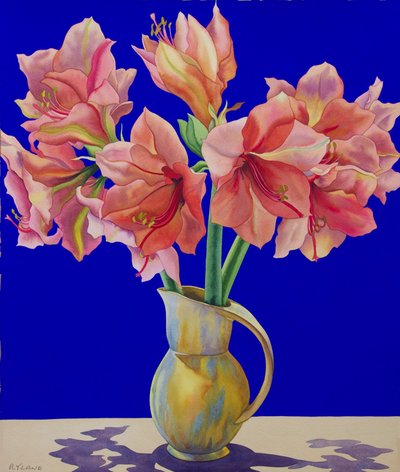 Amaryllis in een kan door Christopher Ryland