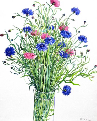 Korenbloemen door Christopher Ryland