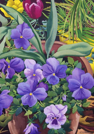 Bloempotten met viooltjes door Christopher Ryland
