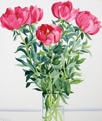 Pioenen door Christopher Ryland