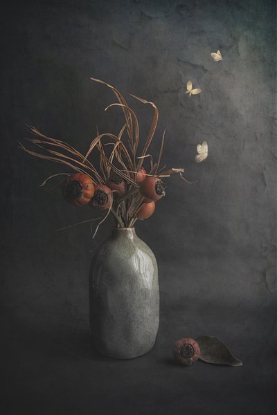  door Cicek Kiral