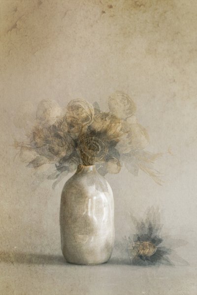 door Cicek Kiral