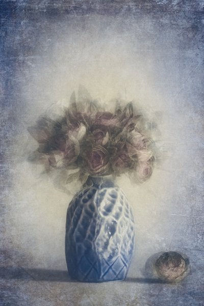  door Cicek Kiral