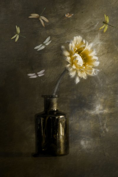  door Cicek Kiral