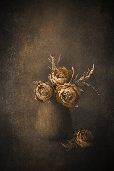  door Cicek Kiral