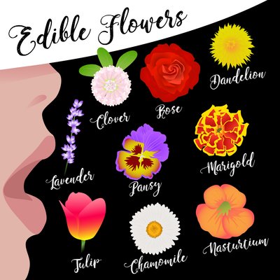 Eetbare Bloemen door Claire Huntley
