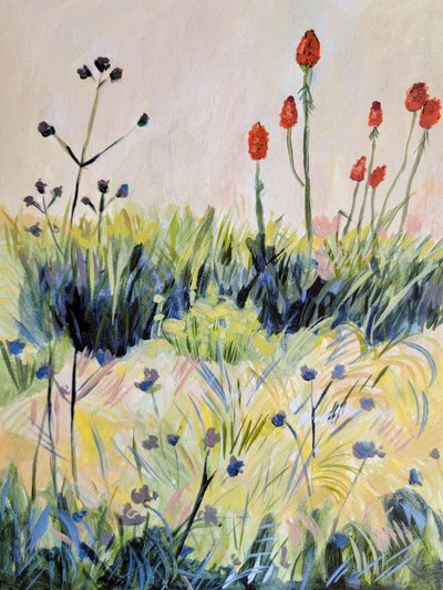  door Claire Whitehead