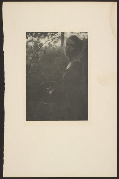 [Edge of the Woods -- Evening]. door Clarence H. White