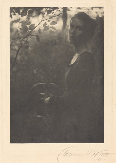 Rand van het bos, 