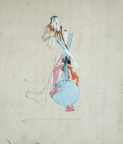 Zenuwstelsel in het hoofd van een kat, 25 mei 1842 door Claude Bernard