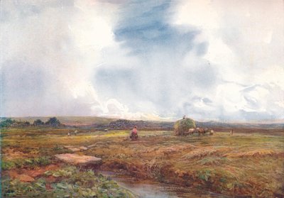 Het hooiveld, 1872-1906, 1906 door Claude Hayes