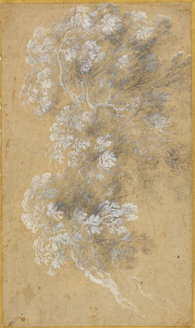 Schets van bladeren en takken door Claude Lorrain