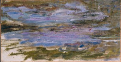 Waterlelies door Claude Monet