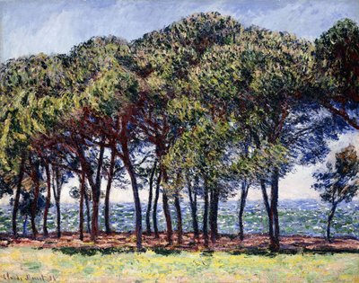 Pijnbomen, Cap d