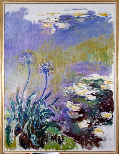 De agapanthus door Claude Monet