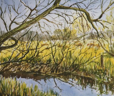 Water Meadows, Kintbury, begin mei 