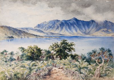 Naiviri Bay, Nananu, Fiji 1876 door Constance Frederica Gordon Cumming